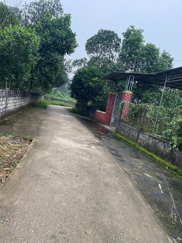 Đất thổ cư xã Thọ Tân 125m² giá chỉ 200 triệu - Cơ hội vàng cho nhà đầu tư!