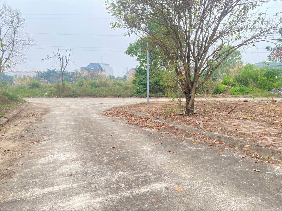 Lô đất 2 mặt thoáng Xuân Hòa 192m² giá 3.84 tỷ - Đầu tư lý tưởng!