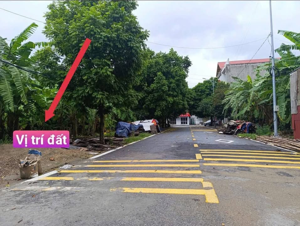 Đất nền đường Nguyễn Huy Tưởng, Khai Quang, 100m² - Đầu tư sinh lời!