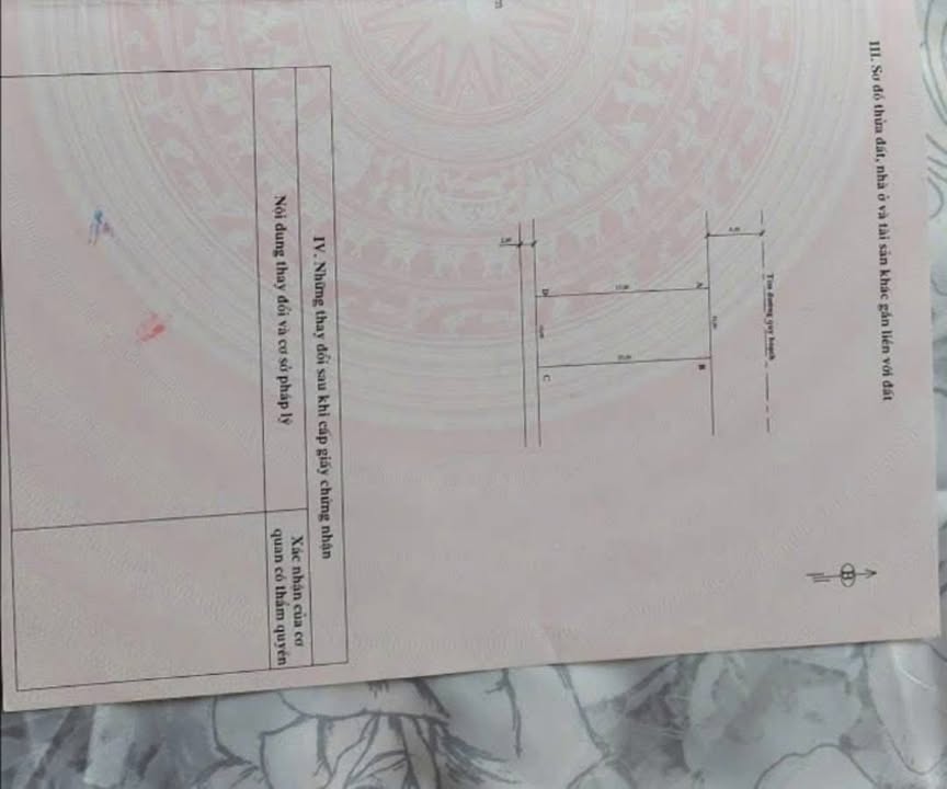 Đất nền 250m² tại Hạ Long chỉ 1.5 tỷ - Cơ hội đầu tư tuyệt vời!
