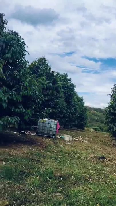 Đất nền 30000m² tại xã Bom Bo, huyện Bù Đăng, giá 31 tỷ - Cơ hội đầu tư hấp dẫn!