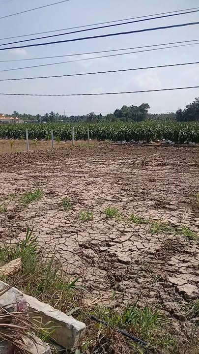 Đất nền góc 2 mặt tiền 300m² tại An Thạnh Thủy, Chợ Gạo - Giá chỉ 350 triệu!