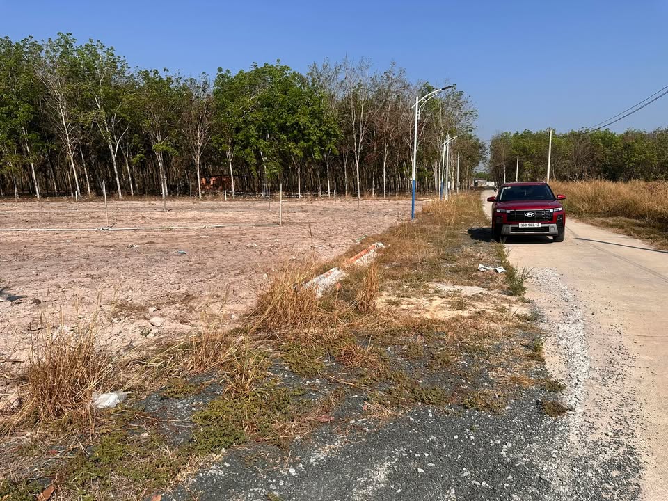 Đất nền thổ cư Minh Long - Chơn Thành 140m² giá chỉ 200 triệu - Cơ hội đầu tư hấp dẫn!