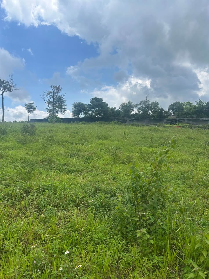 Đất thổ cư Bảo Lộc 135m² giá 799 triệu - Cách chợ khu 6 chỉ 5km!