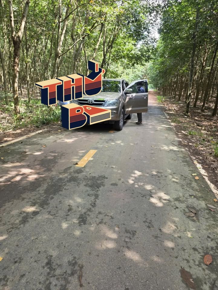 Đất nền xã Tam Lập, huyện Phú Giáo, 6960m² giá 55.68 tỷ - Phù hợp đầu tư sinh lời!