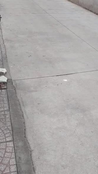 Nhà cho thuê tại xã Long Trạch, huyện Cần Đước - Giá chỉ 7.5 triệu/tháng