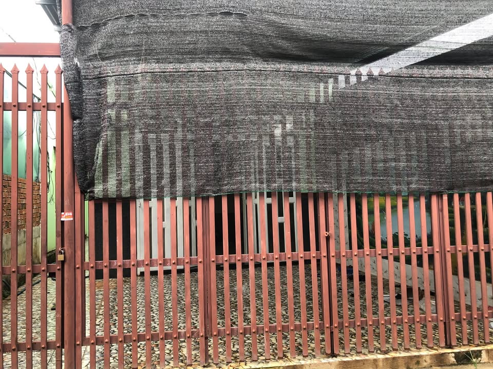 Nhà cho thuê tại xã Bảo Quang, ấp Ruộng Tre - Phù hợp cho gia đình yêu thiên nhiên!