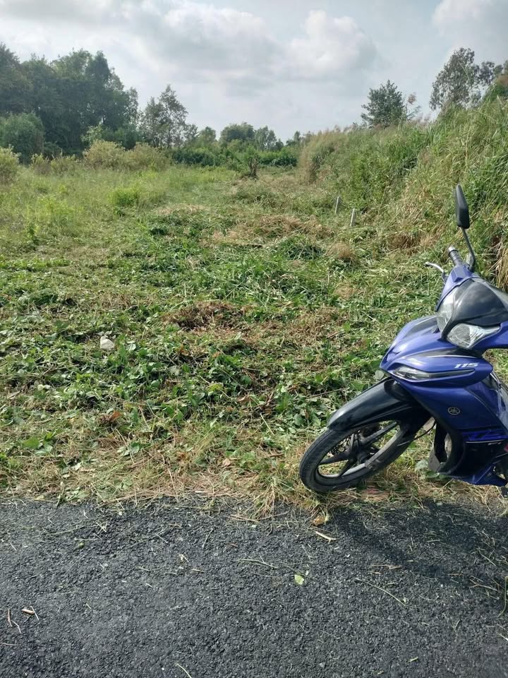 Đất nền 330m² xã Tân Dân, Đầm Dơi, Cà Mau giá chỉ 370 triệu - Sổ hồng riêng sẵn!