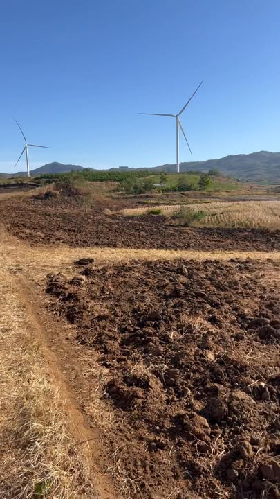 Đất nền giá rẻ tại Ia Le, Chư Pưh, Gia Lai 1.299 tỷ - Cơ hội đầu tư tuyệt vời!