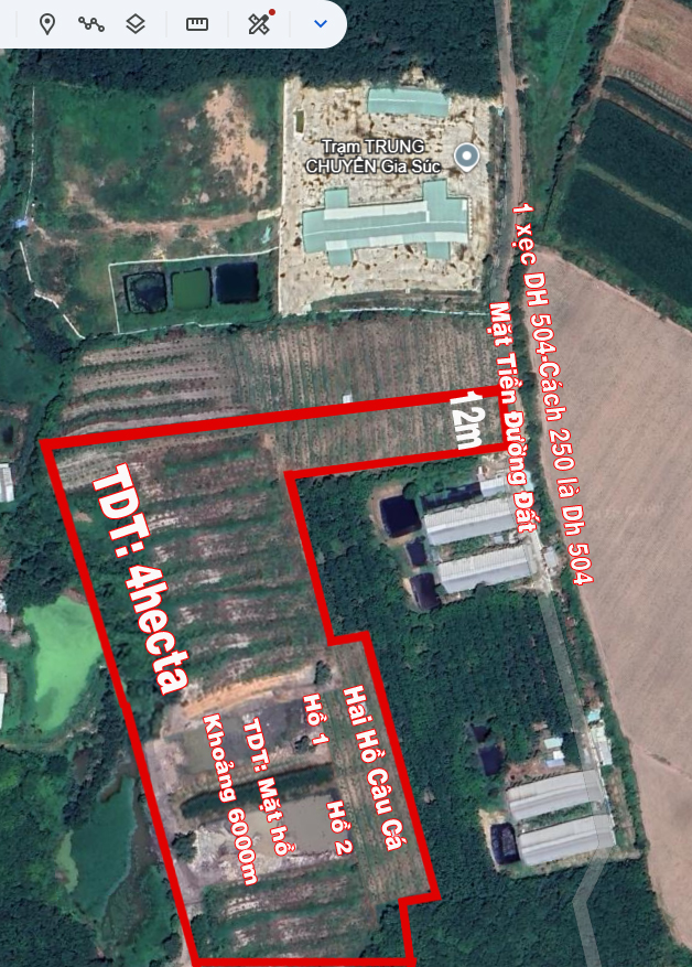 Đất Farm Tân Hiệp 4ha giá 11 tỷ - Tiềm năng đầu tư tuyệt vời!