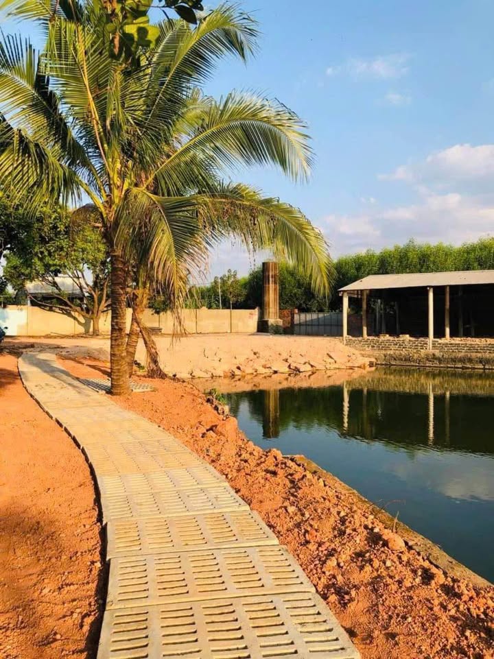 Mảnh vườn có ao cá tại Sông Trầu, Trảng Bom 2304m² - Giá tốt không thể bỏ lỡ!