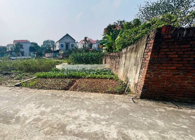 Đất nền Xuân Canh, Đông Anh 103m² giá 2 tỷ - Cần thanh khoản gấp!