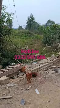 Đất nền Trung Giã, Sóc Sơn 2880m² giá 9 tỷ - Tiềm năng đầu tư lớn!