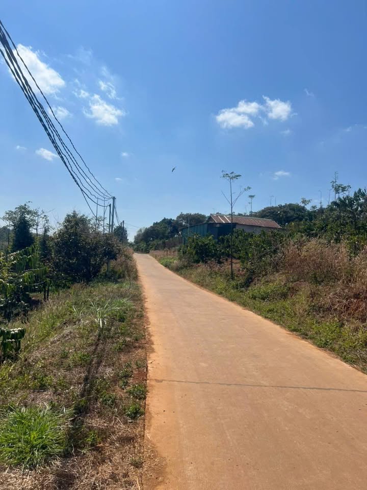 Đất Farm 9 sào tại Xã Quảng Tín, Huyện Đắk R'Lấp - Giá 2.55 tỷ, Đường bê tông thuận tiện!