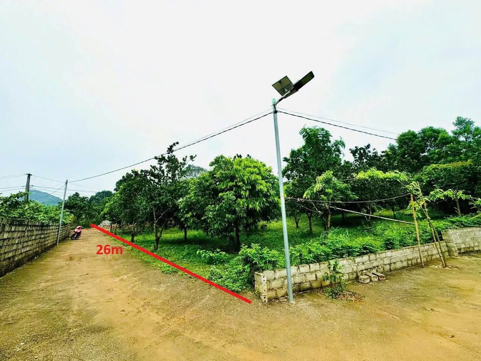 Đất thổ cư mặt tiền 2 mặt phố tại Cao Phong, 1.123m² - Cơ hội đầu tư hấp dẫn!