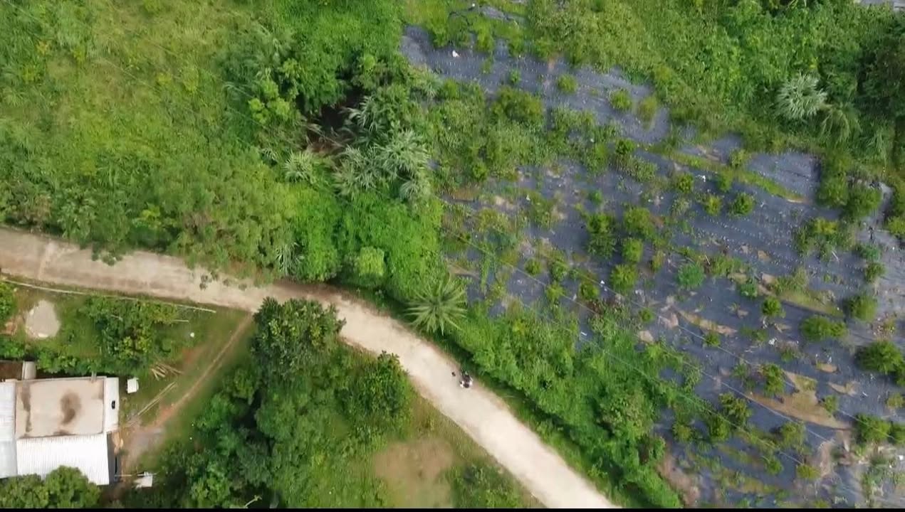 Đất nông nghiệp 3ha tại Cao Sơn, Lương Sơn, Hòa Bình - Giá cả thương lượng hợp lý!