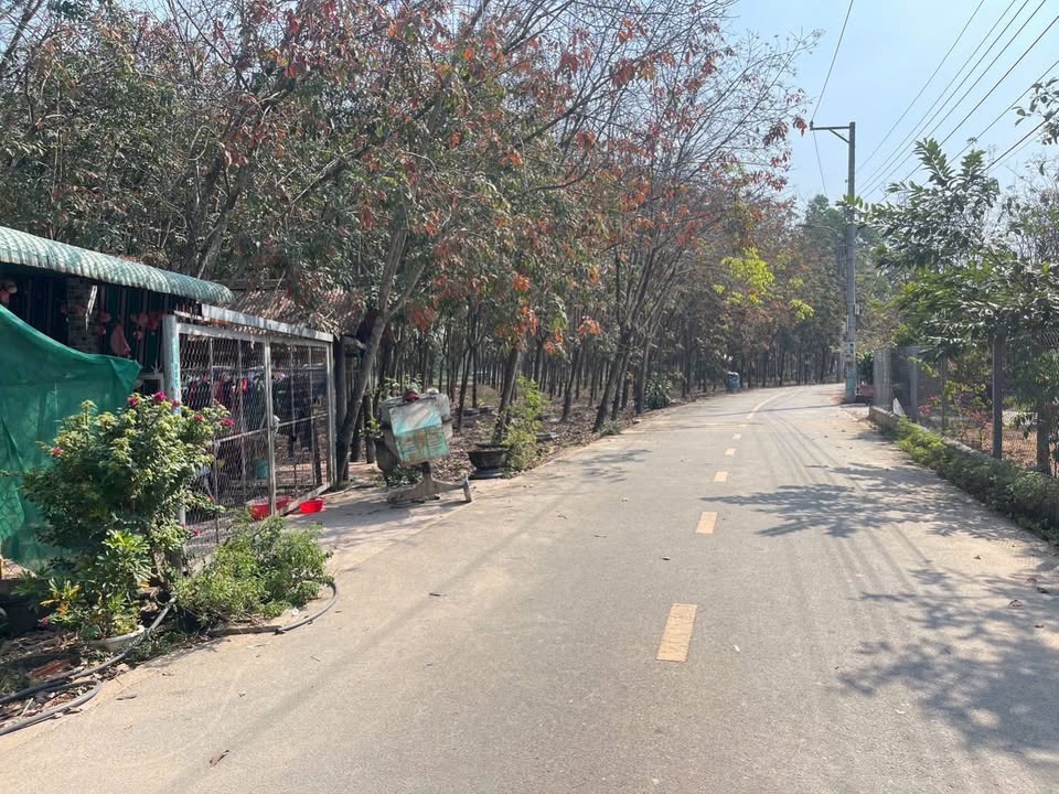 Đất nền Phường Chánh Phú Hòa 1800m² giá 6 tỷ - Đầu tư sinh lời cao!