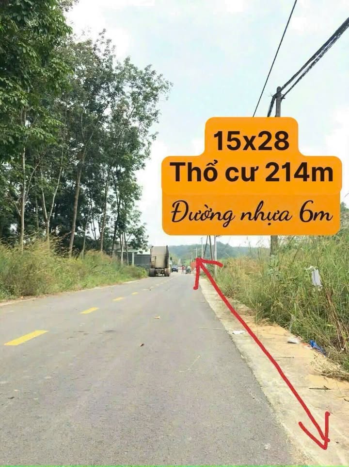 Đất thổ cư mặt tiền đường nhựa 8m tại Phú Chánh - Giá chỉ 5 tỷ