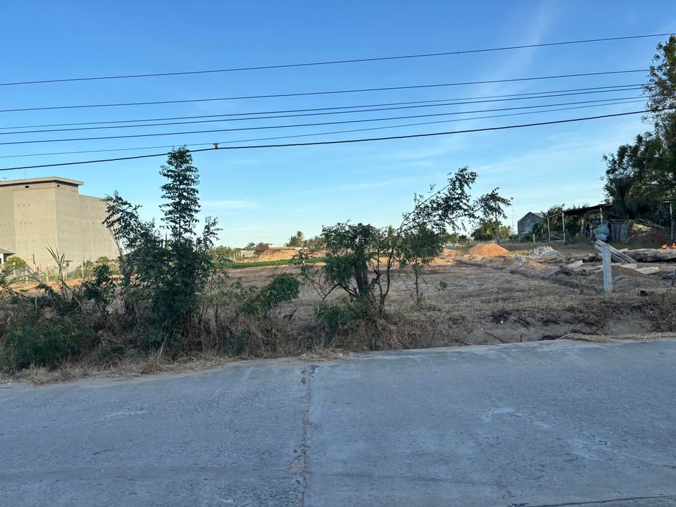 Đất thổ cư Ninh Hải 1228m² giá chỉ 1 tỷ - Cơ hội đầu tư hấp dẫn!