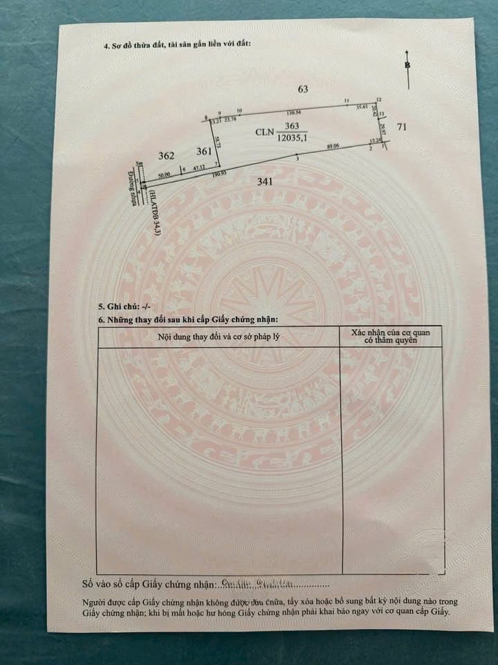 Đất nền 1,2ha Xã Long Hòa, Huyện Cần Giờ, 3 tỷ - Mặt tiền nhựa rộng rãi