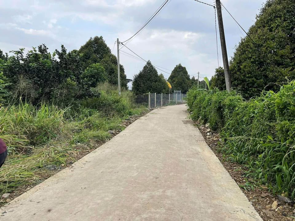 Đất nền Phú Xuân 1207m² giá chỉ 820 triệu - Đầu tư sinh lời nhanh!