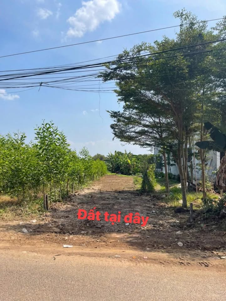 Đất nền xã Trảng Bom 125m² giá 1.3 tỷ - Không thể bỏ lỡ!