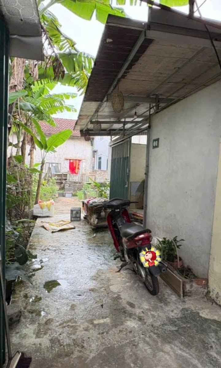 Đất nền tại Đường Vành Đai 4, Xã Đông Mỹ, 31m² giá 2 tỷ - Đầu tư sinh lời ngay!