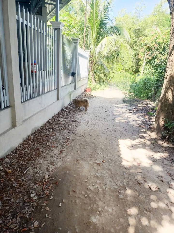 Đất nền thổ cư xã Hòa Bình, huyện Chợ Mới 145m² giá 360 triệu - Cơ hội đầu tư tuyệt vời!