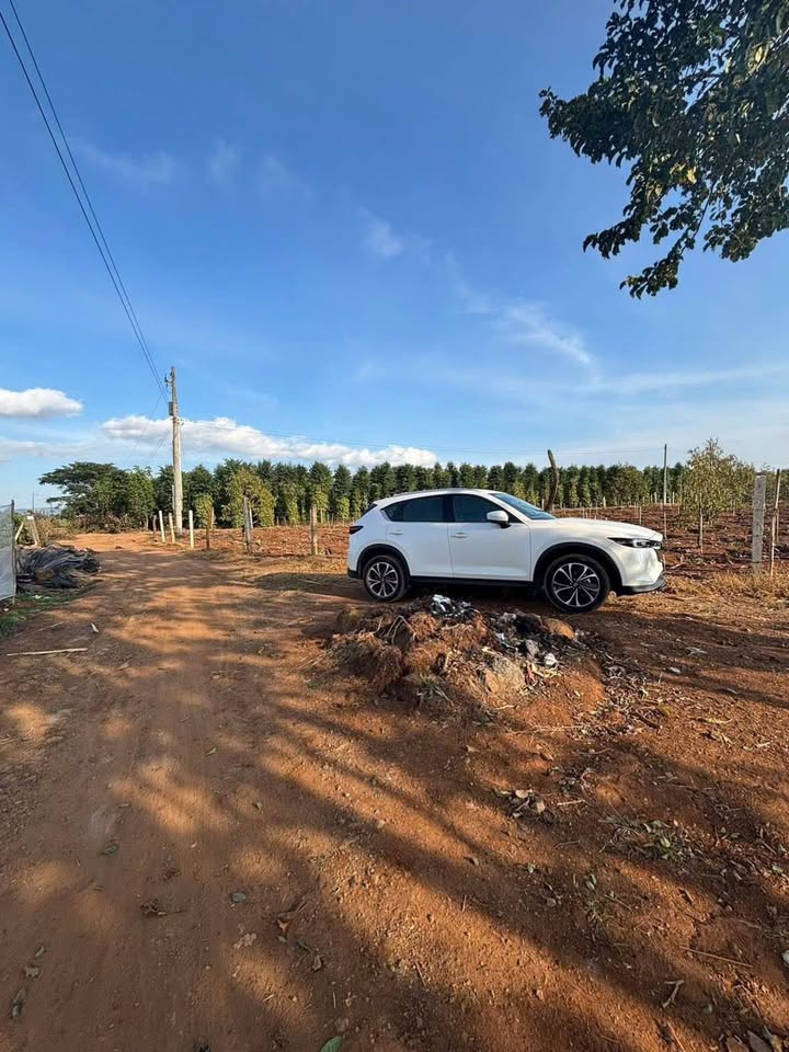 Đất thổ cư xã Phú Hội, huyện Đức Trọng, Lâm Đồng 1080m² - Giá tốt đầu tư!