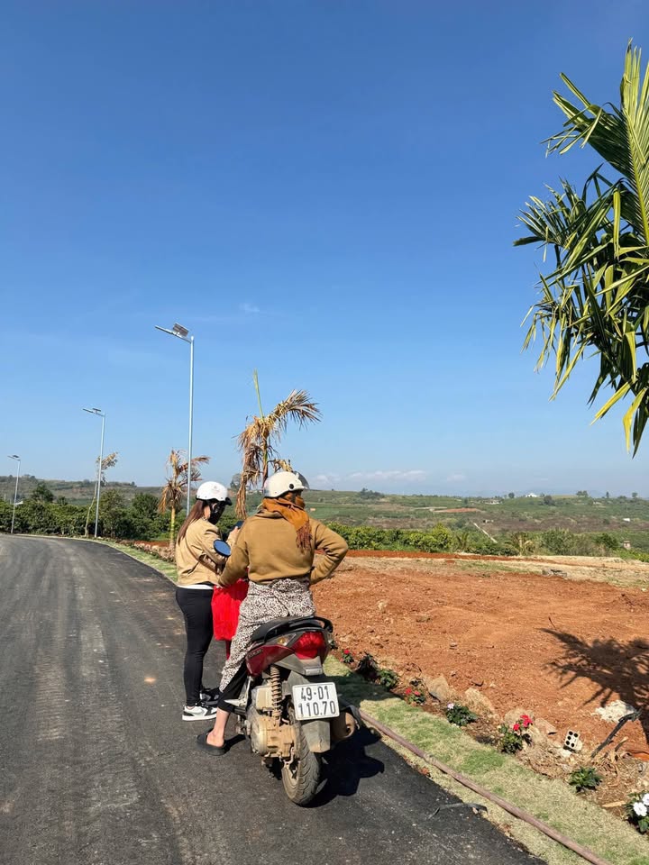 Đất thổ cư Tân Hội, Đức Trọng 266m² giá 490 triệu - Sổ đỏ chính chủ, sẵn sàng công chứng!