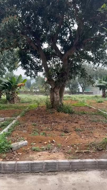 Đất nền Hòa Sơn, Chương Mỹ 107m² giá chỉ 1 tỷ - Sổ hồng chính chủ!