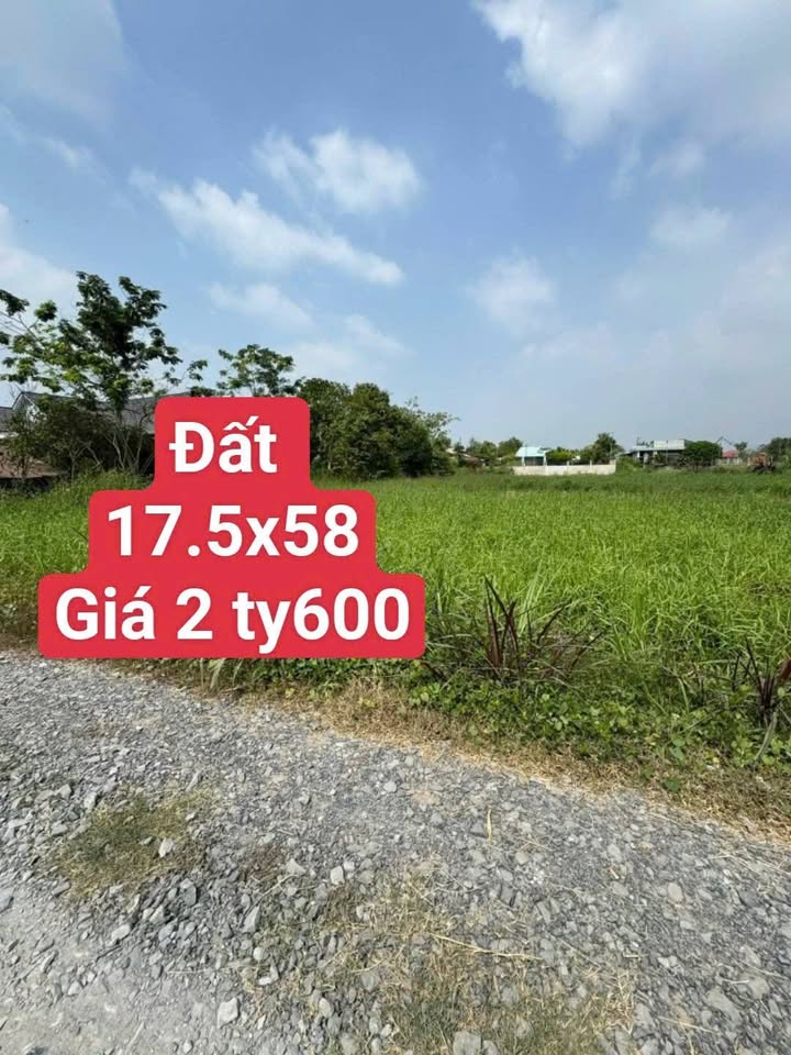 Đất Thị Trấn Hậu Nghĩa 1009m² giá 2.6 tỷ - Cơ hội đầu tư hấp dẫn!