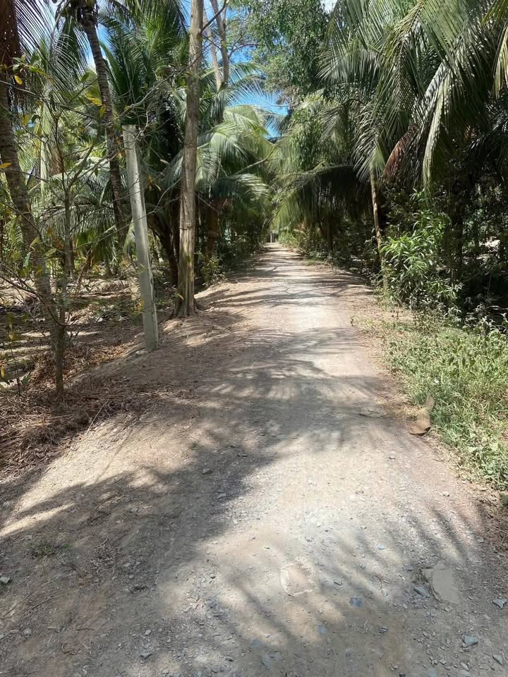 Đất nền Thạnh Phú Đông 2000m² giá 1.1 tỷ - Mặt tiền sông, ô tô vào tận nơi!