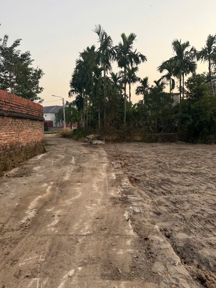 Đất thổ cư Tân Thịnh, Bồng Lai, 70m² giá 1.1 tỷ - Vị trí đẹp, giao thông thuận lợi!