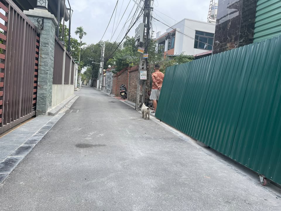 Nhà 3 tầng tại Phúc Thịnh, Đông Anh 60.2m² giá thỏa thuận - Đón Tết ngay!