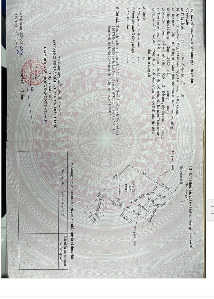 Đất nền mặt đường 239, Huyện Việt Yên, 45m² - Phù hợp đầu tư!