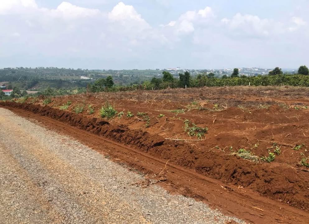 Đất nền tổ 5 Nam Gia Nghĩa 440m² giá 450 triệu - Hỗ trợ ngân hàng lên đến 250 triệu!