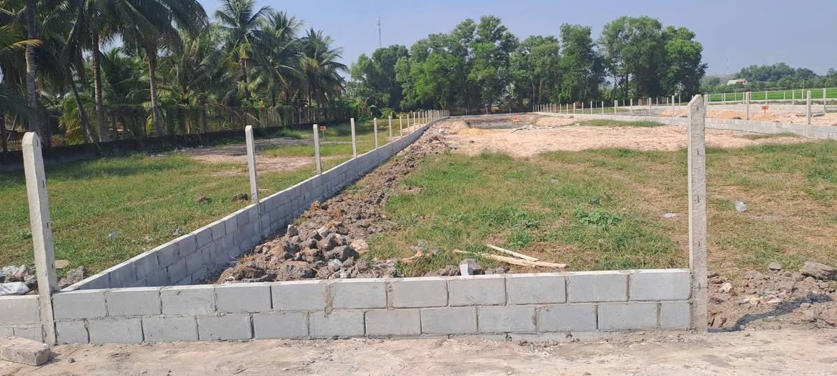 Đất vườn 1.000m² tại Gò Dầu - Giá chỉ 1.2 tỷ - Sổ hồng riêng ngay lập tức!