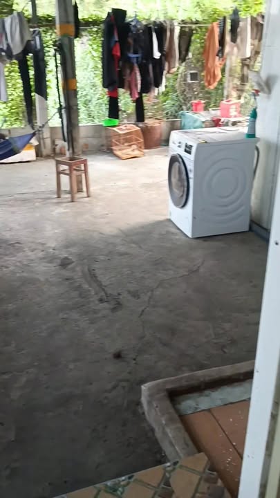 Nhà cấp 4 mặt tiền Thủy Đông, Thạnh Hóa, Long An 259m² giá 1.6 tỷ - Sổ hồng chính chủ!