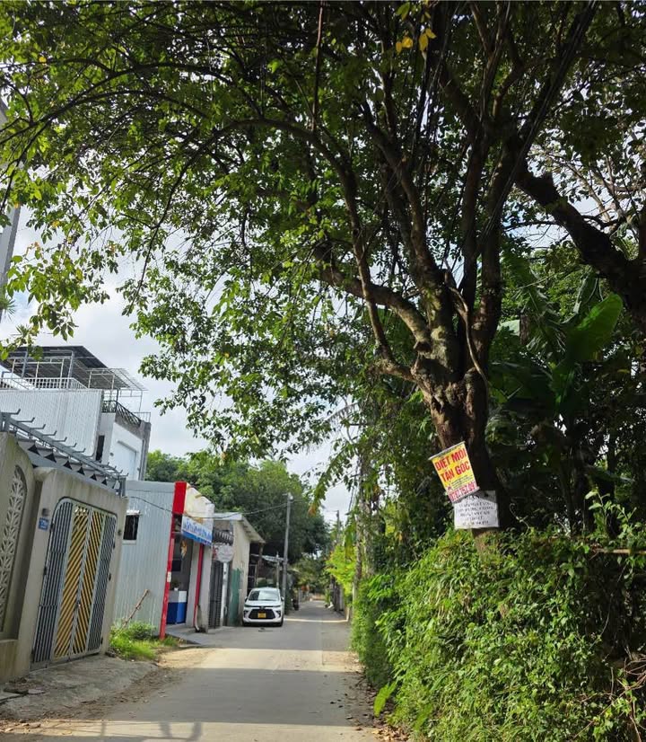 Đất Kiệt 110 Kim Long, Huế 78.5m² giá chỉ 1.9 tỷ - Vị trí đẹp thông thoáng