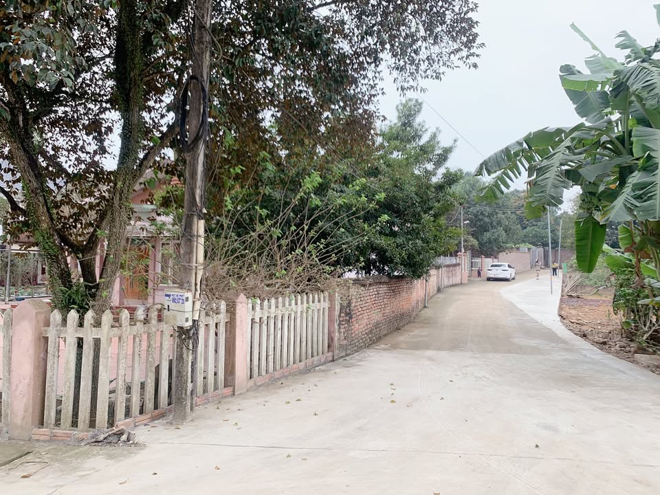 Đất nền 120m² tại thị trấn Hùng Sơn, Lâm Thao giá 900 triệu - Cơ hội đầu tư tuyệt vời!