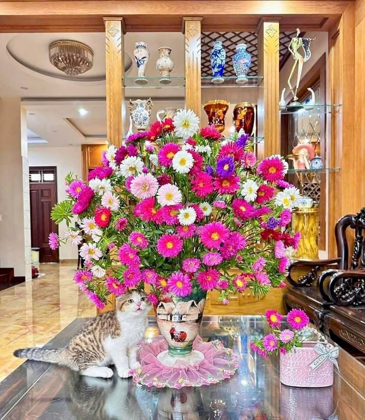 Đất thổ cư 90m² đường 639, Phường Hoài Hương chỉ 1 tỷ - Cơ hội đầu tư hấp dẫn!