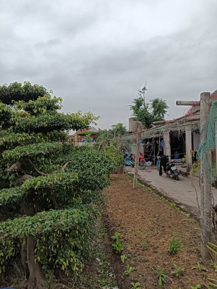 Đất nền Hải Xuân, Hải Hậu 220m² giá chỉ 1 tỷ - Sổ hồng chính chủ!