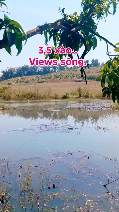 Đất Farm 12.600m² tại Xã Thanh Sơn, Huyện Định Quán - Giá 800 triệu - Cơ hội đầu tư tuyệt vời!