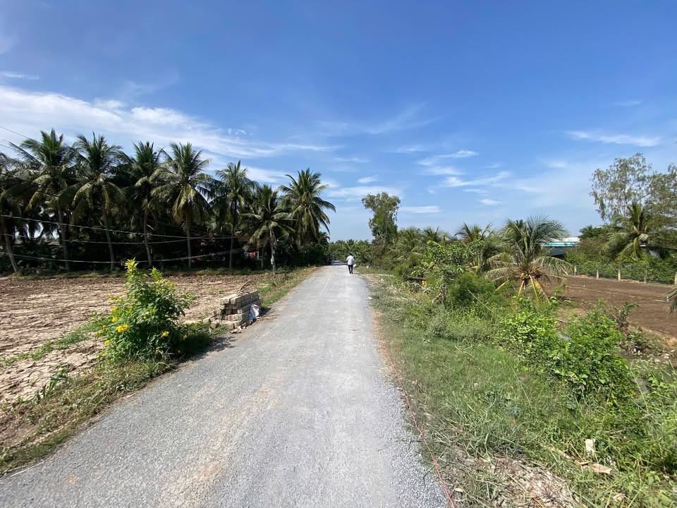 Đất thổ cư tại Bình Phan, Chợ Gạo 115m² chỉ 290 triệu - Cơ hội đầu tư vàng!