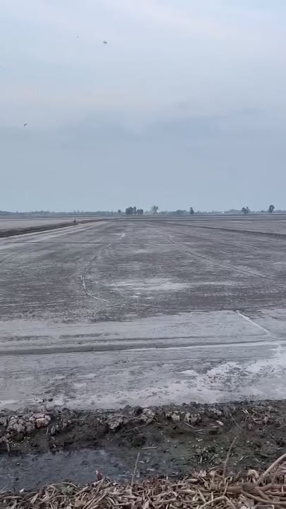 Đất lúa 2 vụ Vĩnh Hựu, Gò Công Tây, 46.000m² giá 5.06 tỷ - Cơ hội đầu tư hấp dẫn!