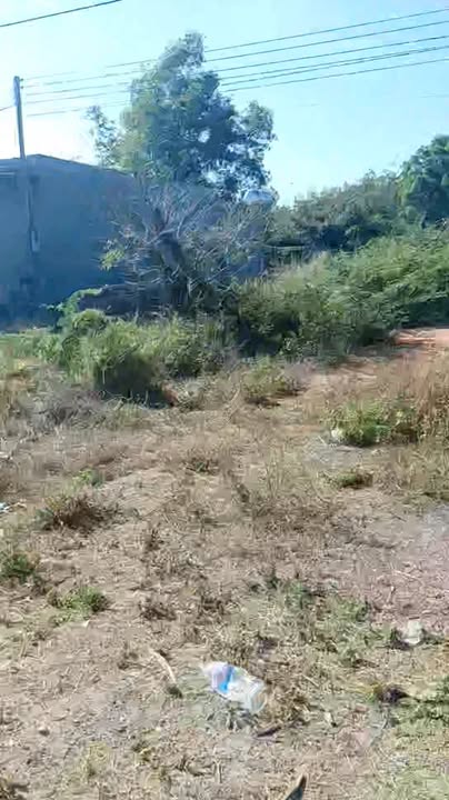 Bán đất thổ cư xã Ea Lê, huyện Ea Súp, 532m² giá chỉ 499 triệu - Cơ hội đầu tư tuyệt vời!