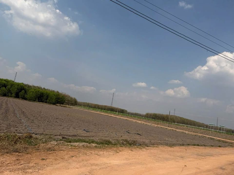 Đất 2 Mặt Tiền Tân Phú 1000m² giá chỉ 950 triệu - Cơ hội đầu tư hiếm có!