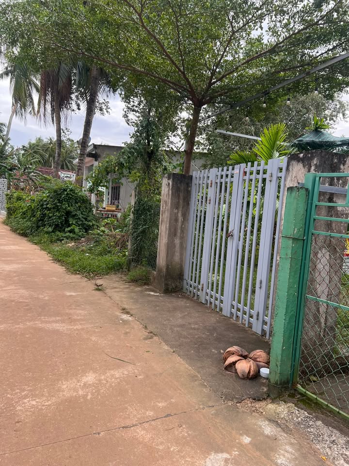 Nhà cấp 4 cho thuê tại Khu phố Trung Lương, Hoài Nhơn - Giá chỉ 1 triệu/tháng!