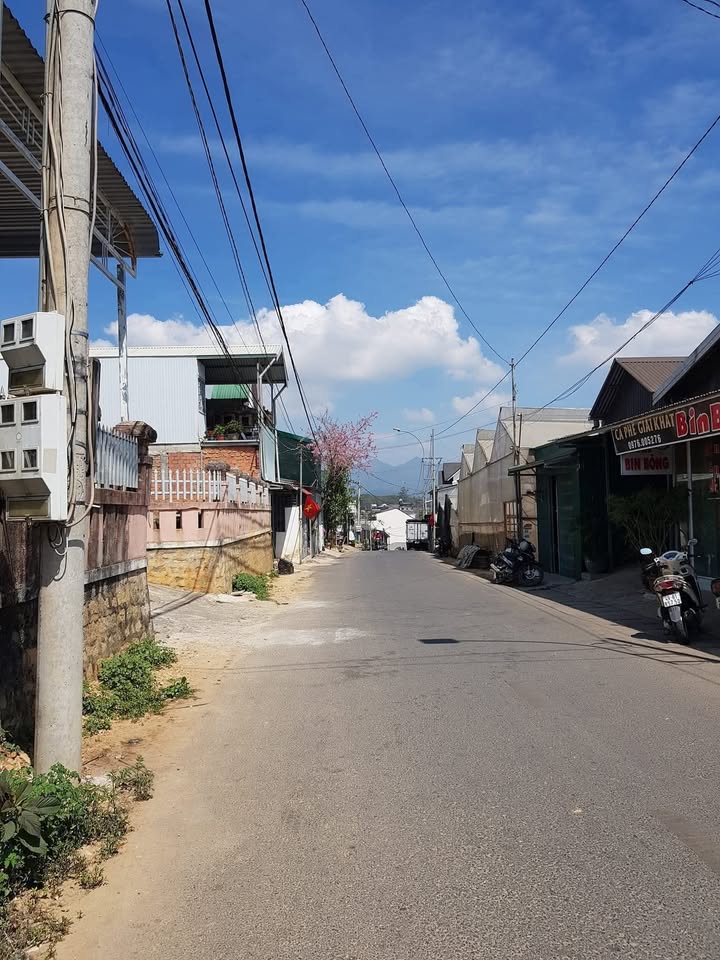 Bán đất mặt tiền đường Trần Đại Nghĩa Đà Lạt 260m² - Cơ hội đầu tư tuyệt vời!